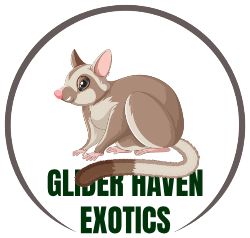 gliderhavenexotics